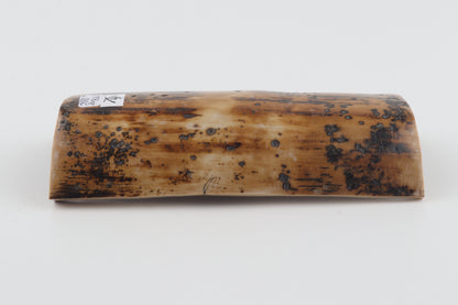 Mustard-brown mammoth bark