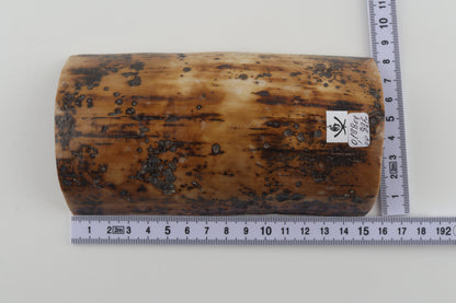 Mustard-brown mammoth bark