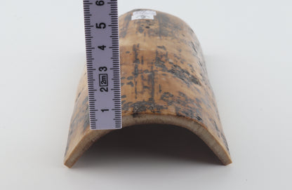 Mustard-brown mammoth bark