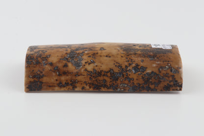 Mustard-brown mammoth bark