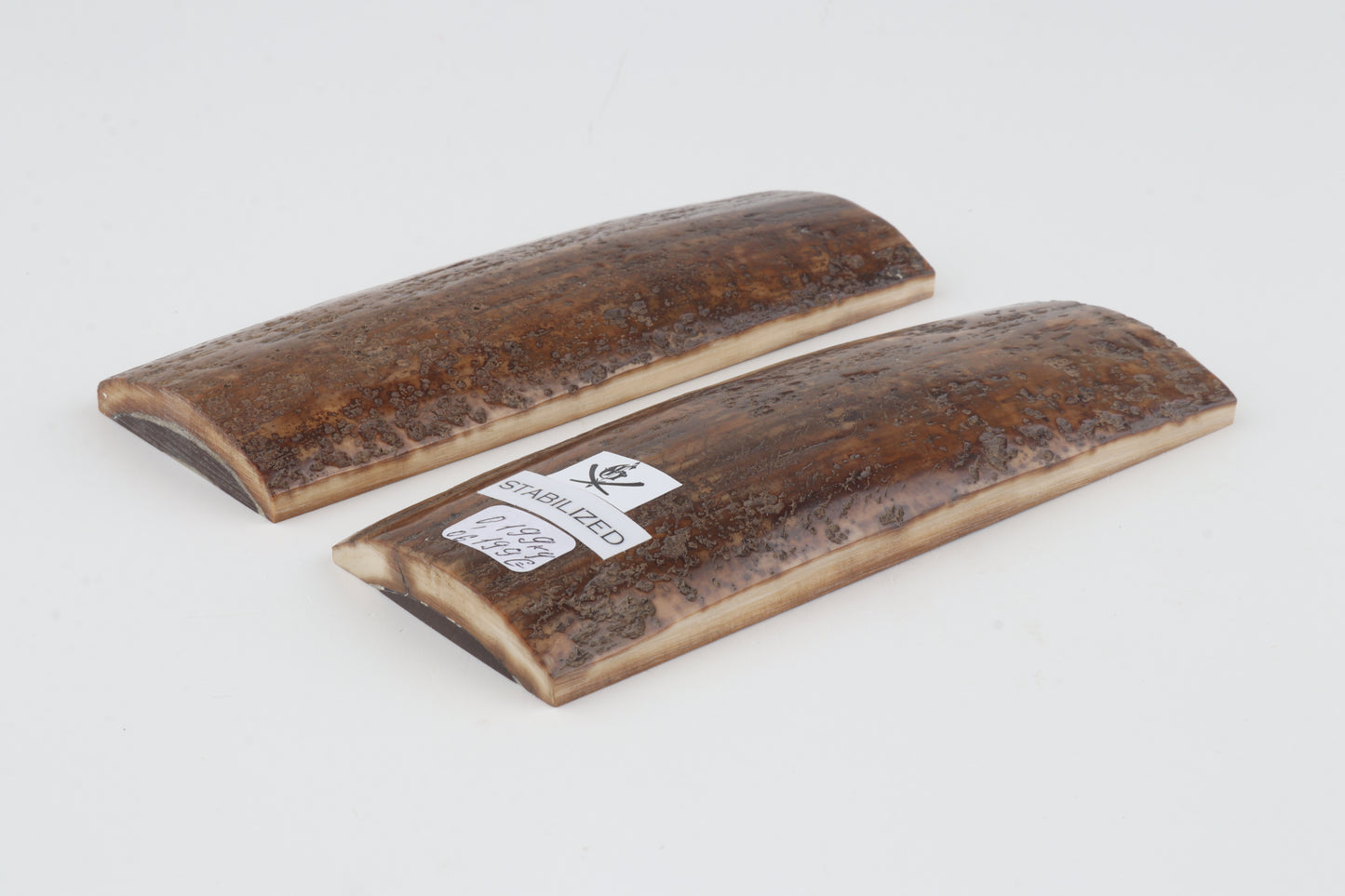 Stabilized mammoth bark scales