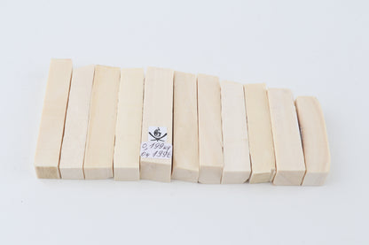 White mammoth ivory segments