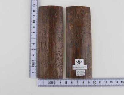 Stabilized mammoth bark scales