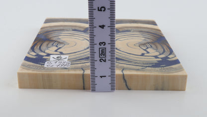 Stabilized mammoth ivory scales