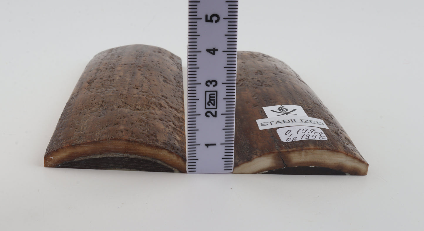 Stabilized mammoth bark scales