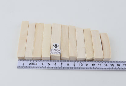 White mammoth ivory segments