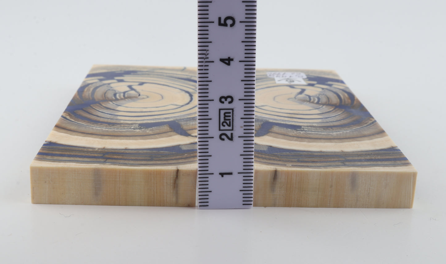 Stabilized mammoth ivory scales