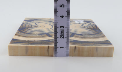 Stabilized mammoth ivory scales