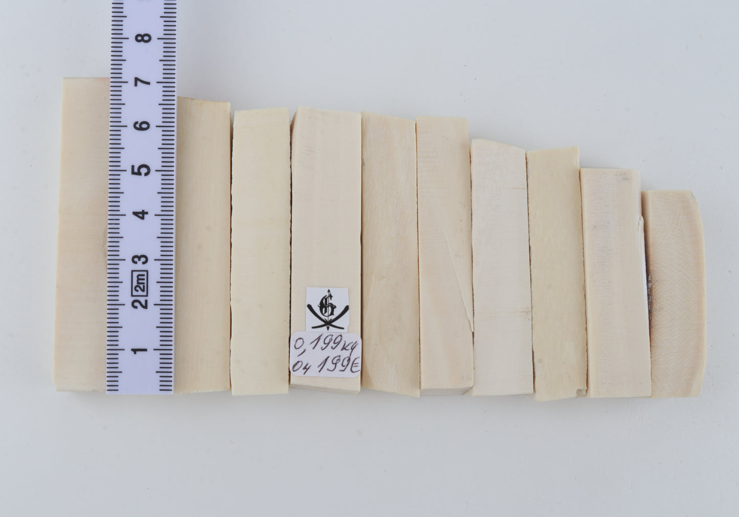 White mammoth ivory segments