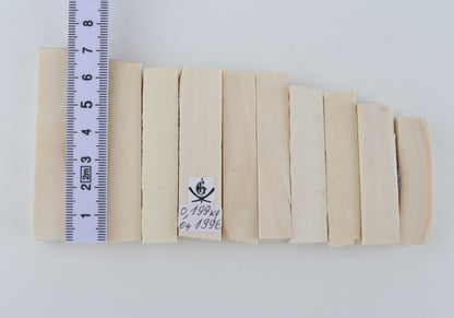 White mammoth ivory segments