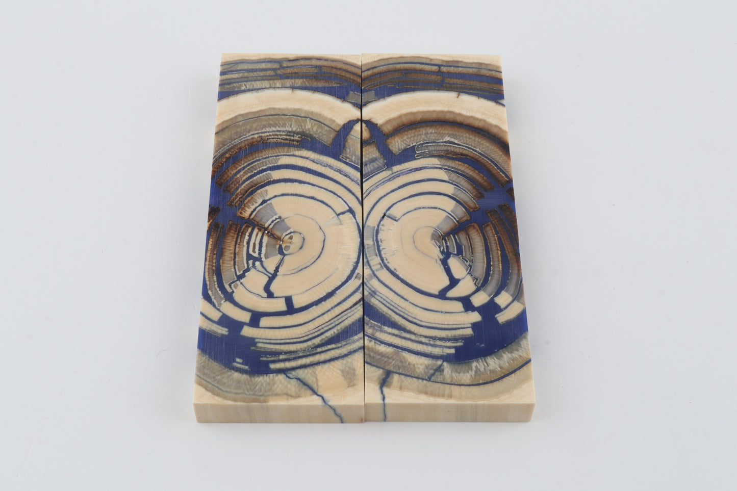 Stabilized mammoth ivory scales