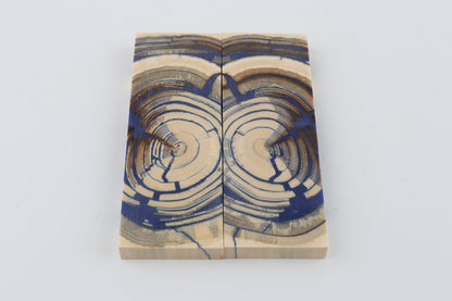 Stabilized mammoth ivory scales