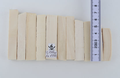 White mammoth ivory segments