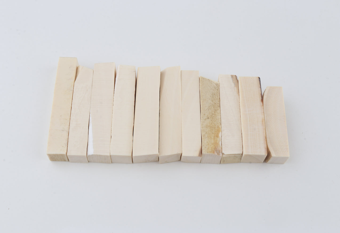 White mammoth ivory segments