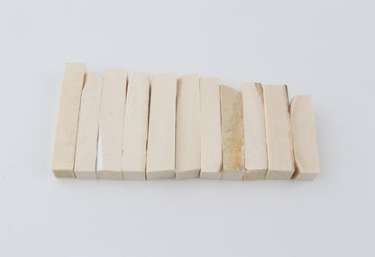 White mammoth ivory segments