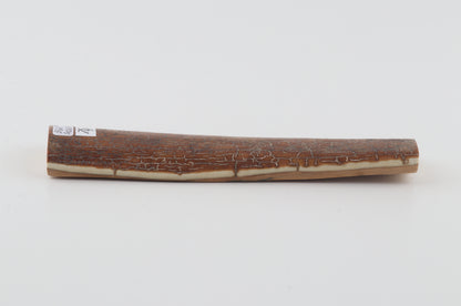 Brown-caramel mammoth bark