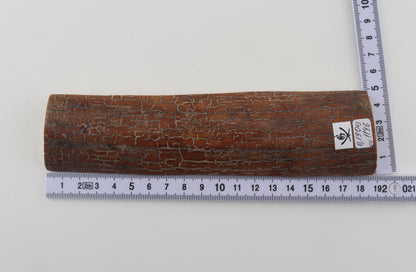 Brown-caramel mammoth bark