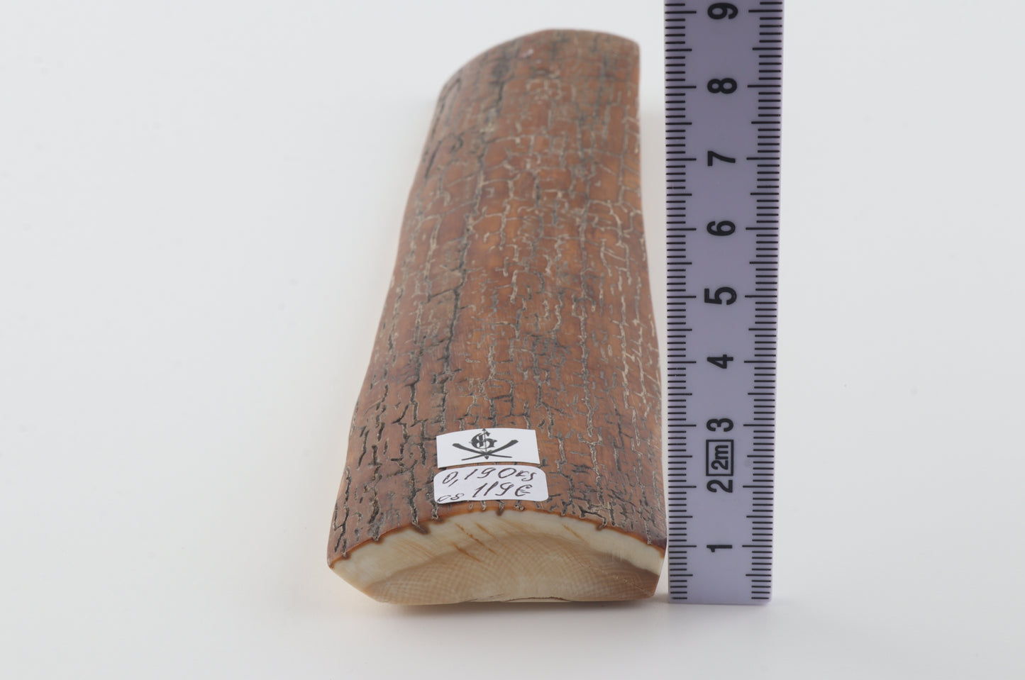 Brown-caramel mammoth bark