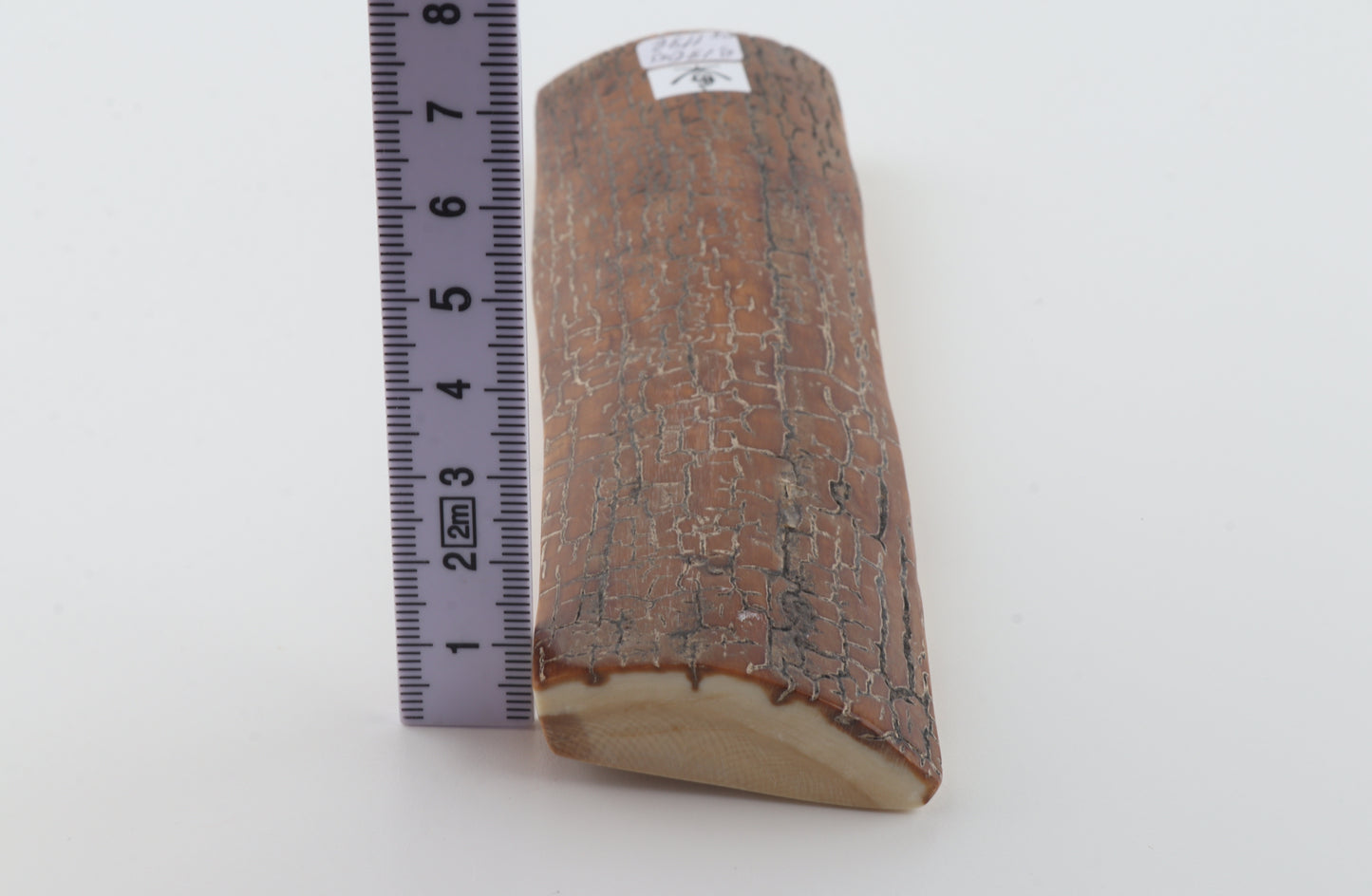 Brown-caramel mammoth bark