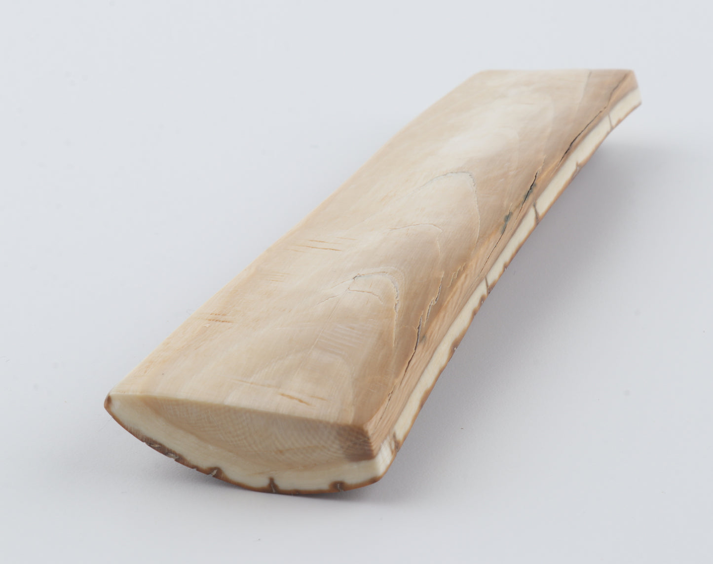 Brown-caramel mammoth bark
