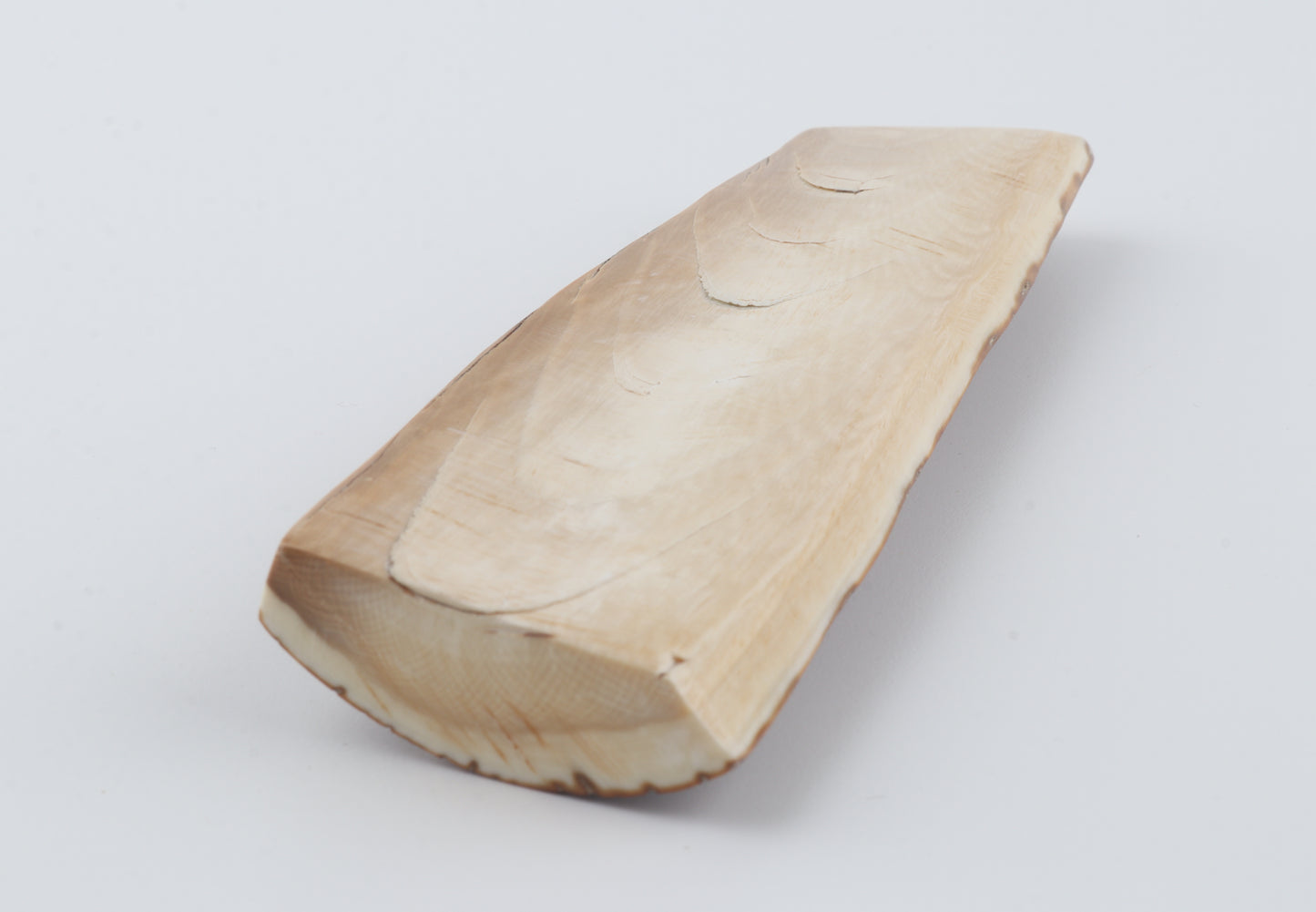 Brown-caramel mammoth bark