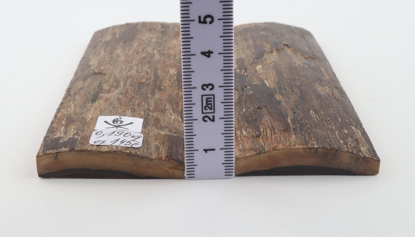 Natural mammoth bark scales