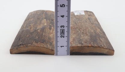 Natural mammoth bark scales