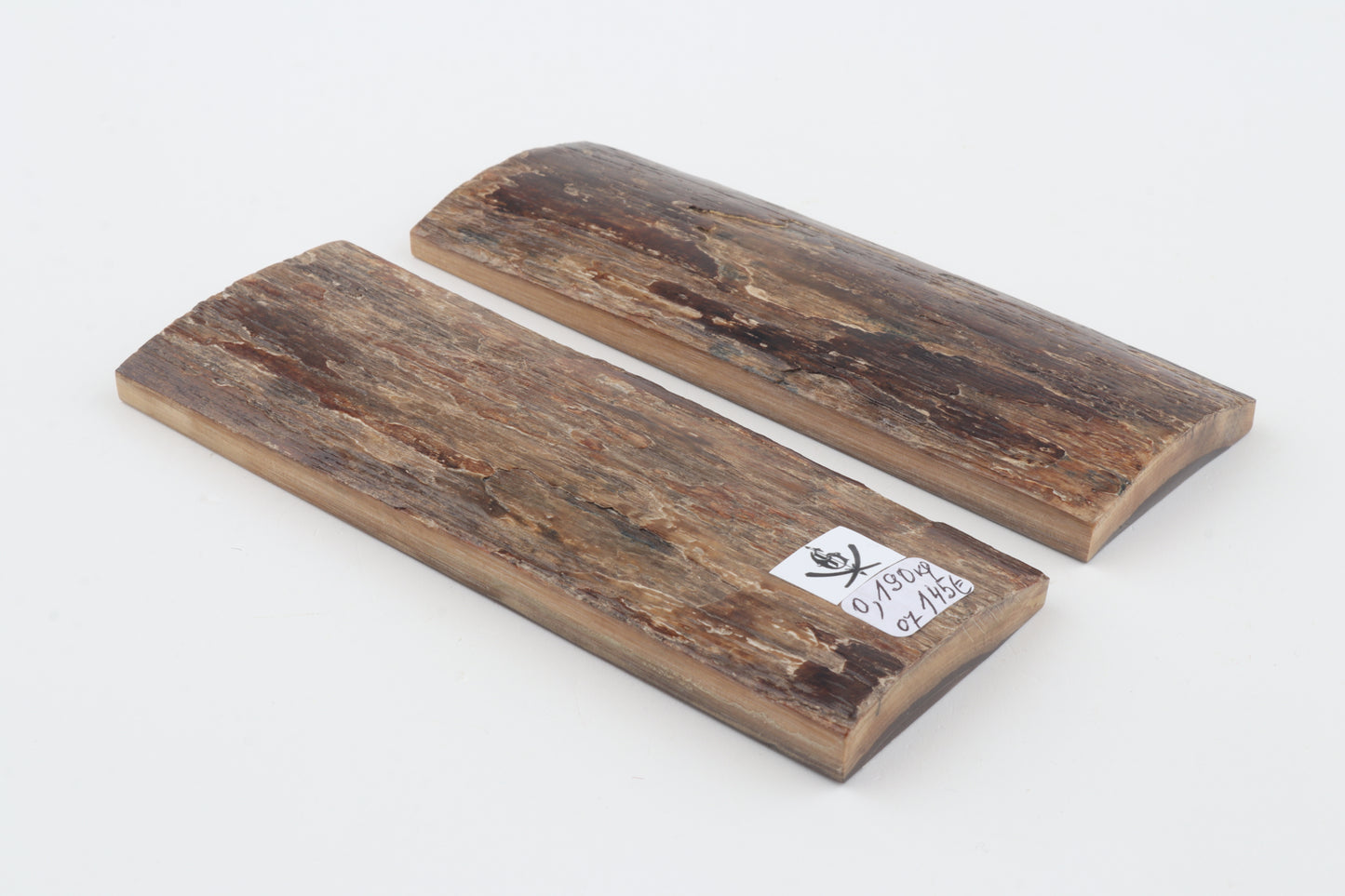 Natural mammoth bark scales