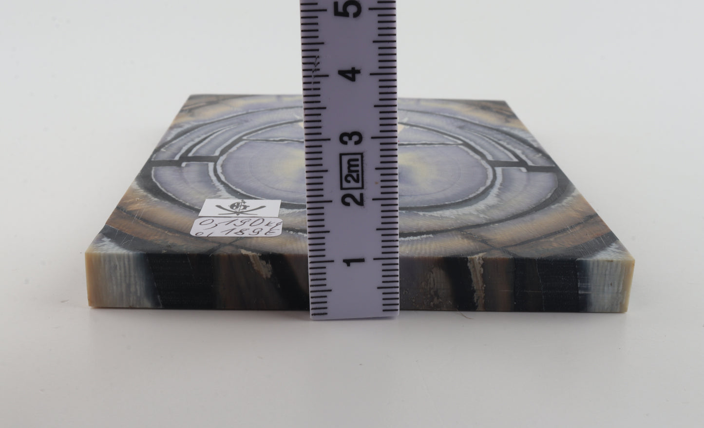 Stabilized mammoth ivory scales