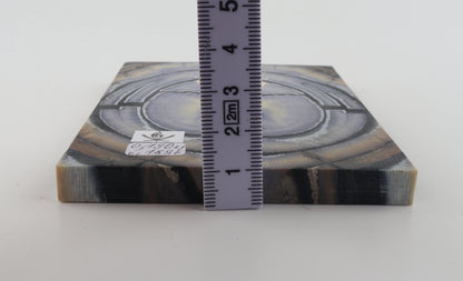 Stabilized mammoth ivory scales