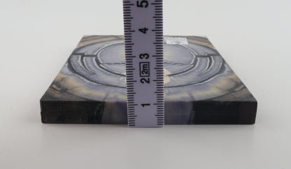 Stabilized mammoth ivory scales