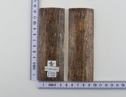 Stabilised mammoth bark scales