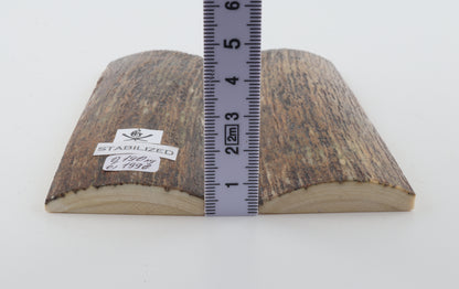 Stabilised mammoth bark scales