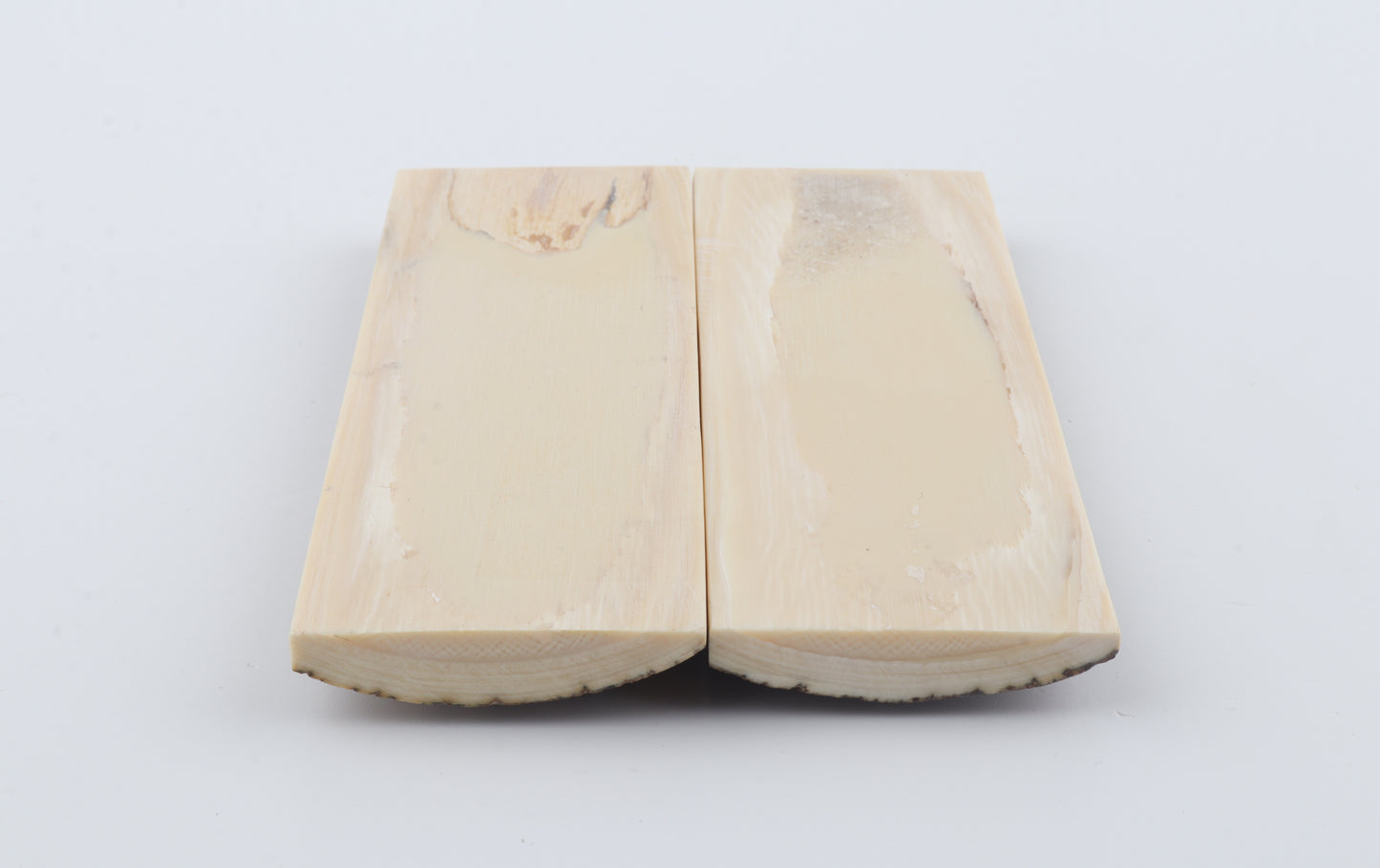 Stabilised mammoth bark scales