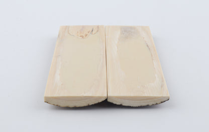 Stabilised mammoth bark scales