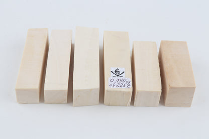 White mammoth ivory pieces