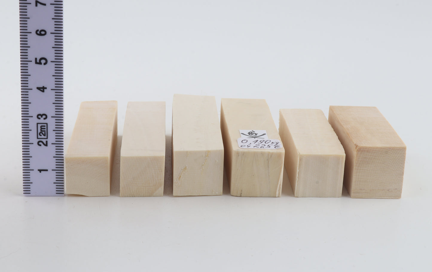 White mammoth ivory pieces