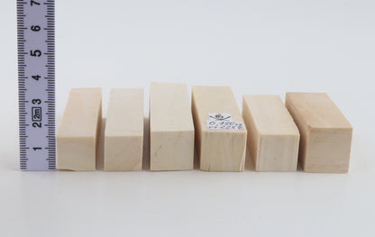 White mammoth ivory pieces