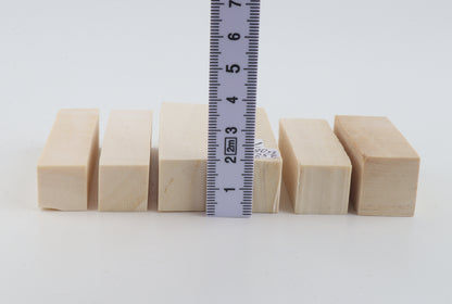 White mammoth ivory pieces