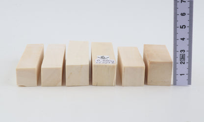 White mammoth ivory pieces