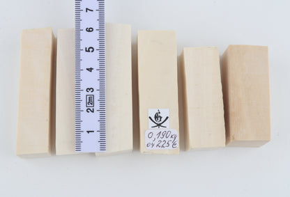 White mammoth ivory pieces