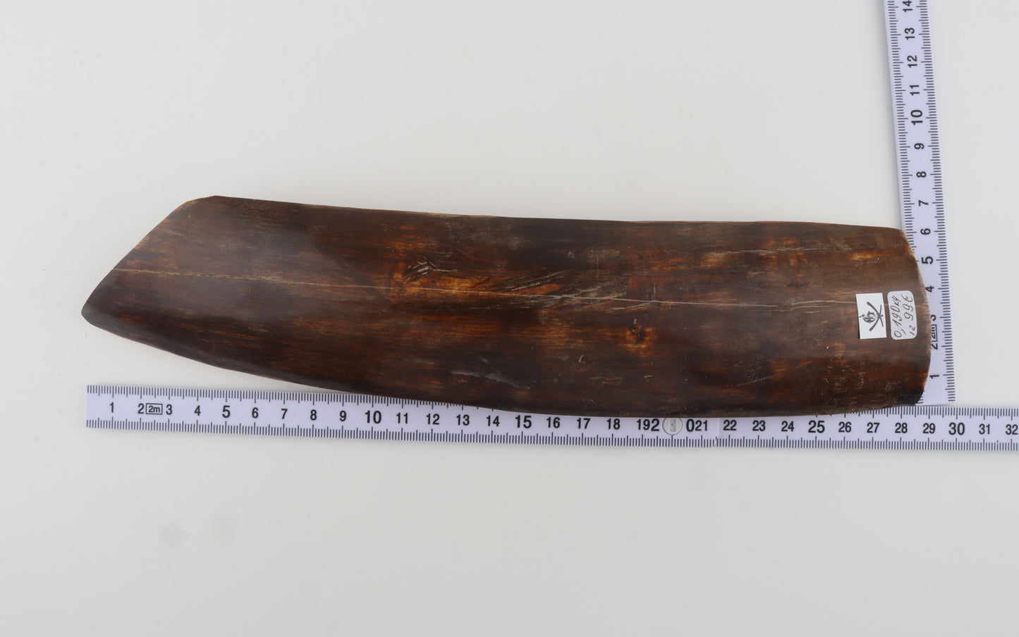 Brown-red mammoth bark