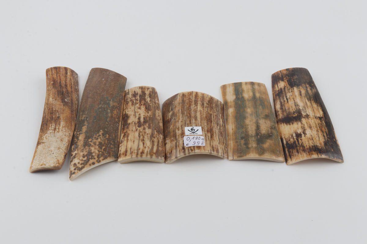 Natural mammoth bark pieces