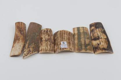 Natural mammoth bark pieces