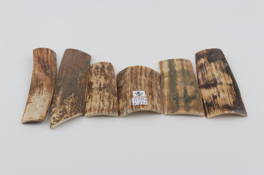 Natural mammoth bark pieces