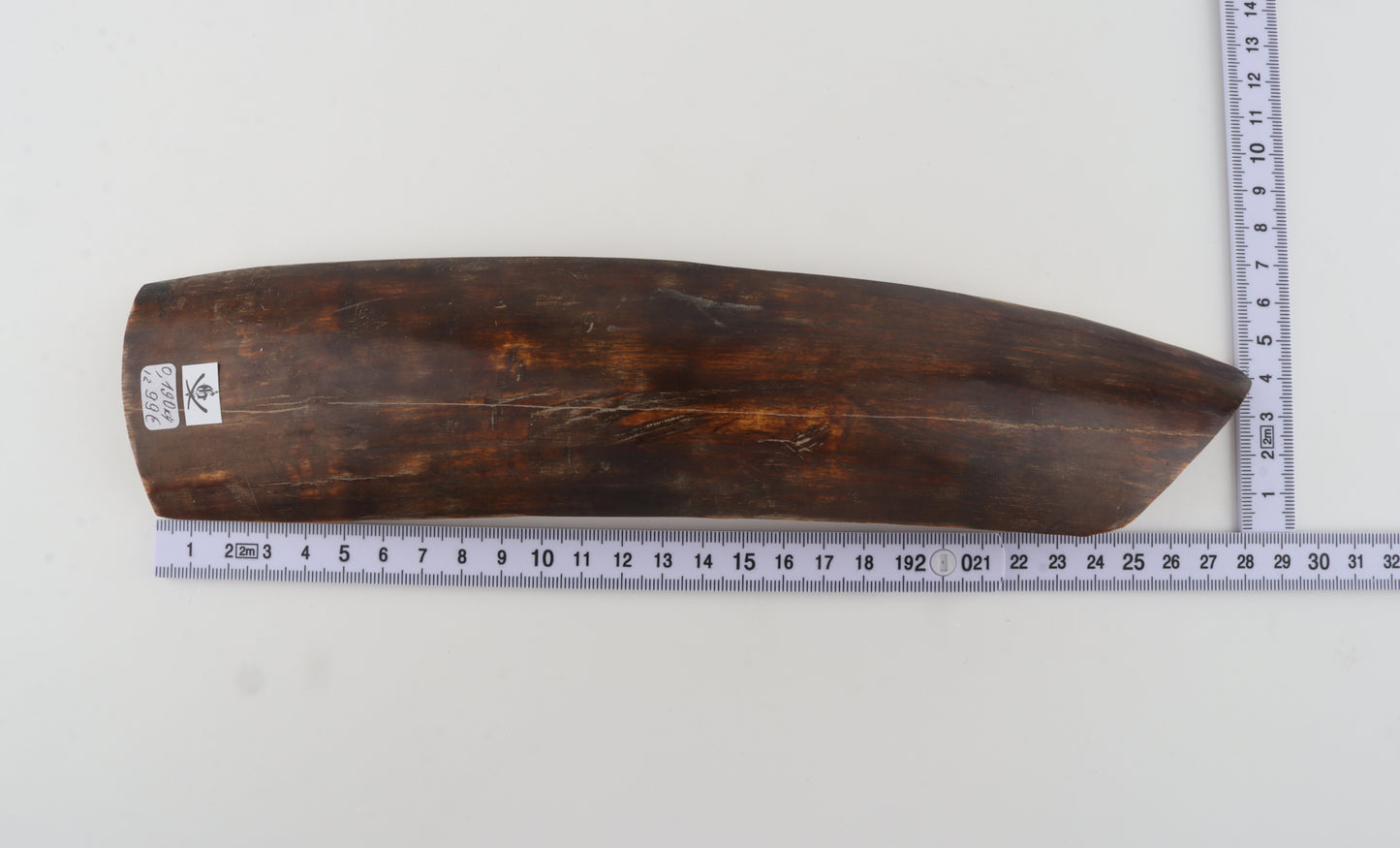 Brown-red mammoth bark