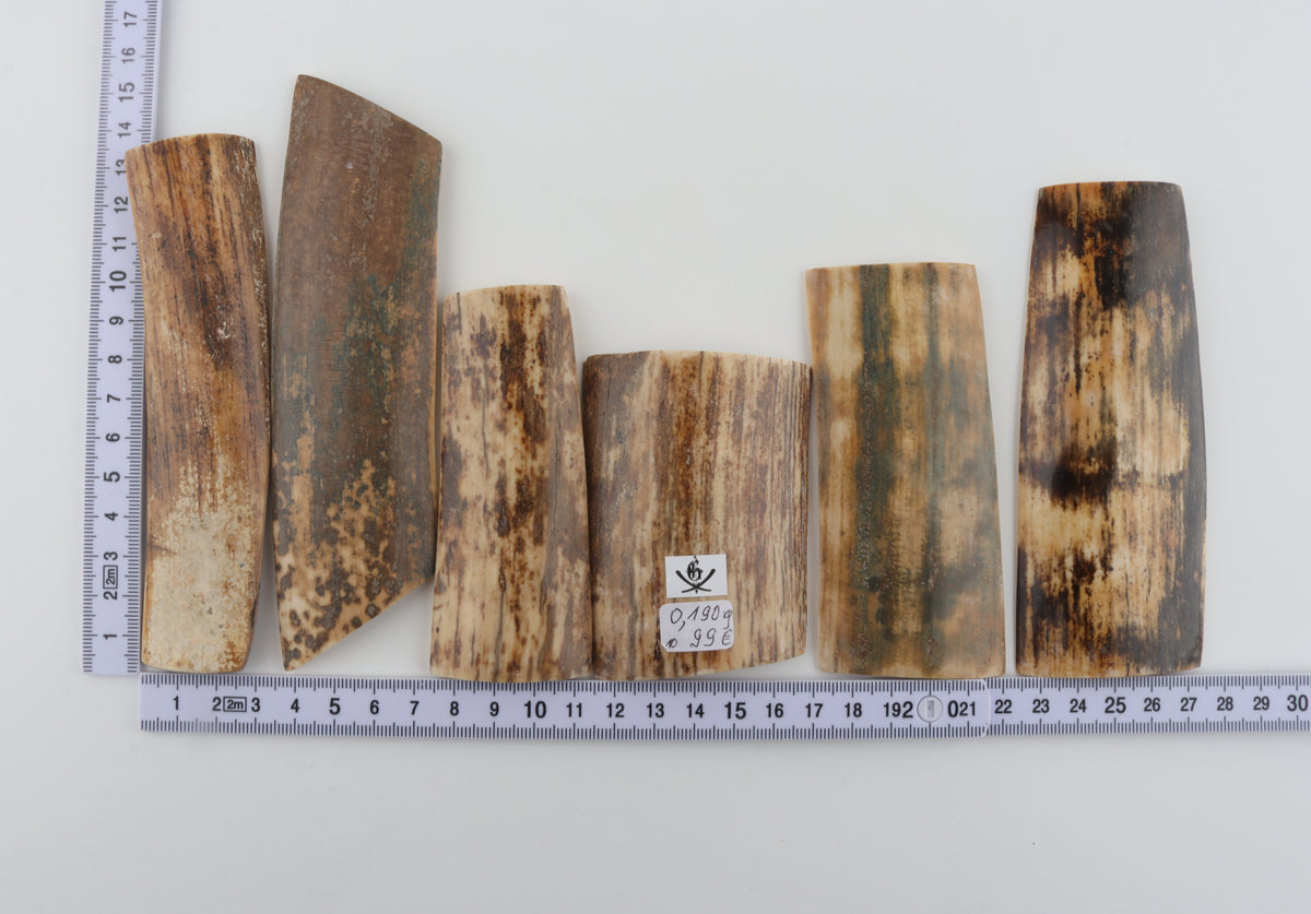 Natural mammoth bark pieces