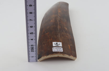 Brown-red mammoth bark