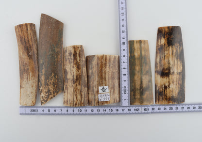 Natural mammoth bark pieces