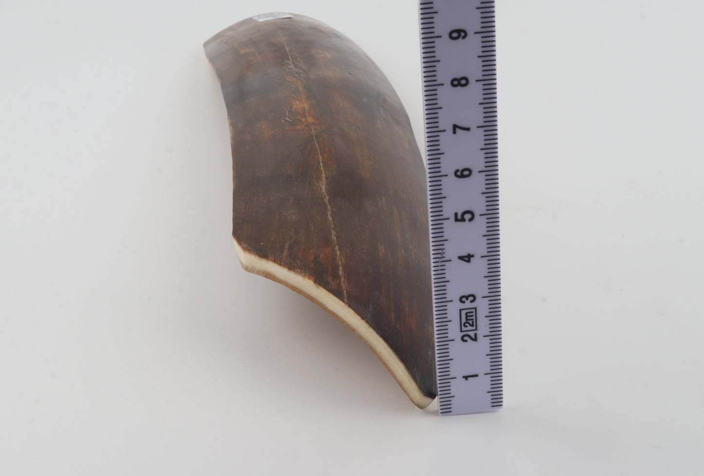 Brown-red mammoth bark